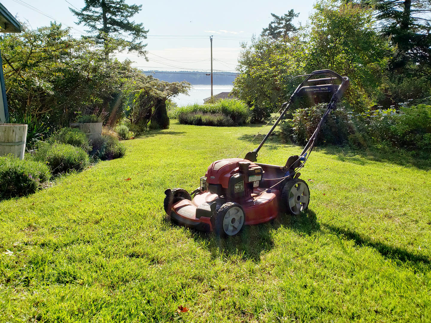 1 Month Weight Loss Update – Being Able to Mow the Lawn Again