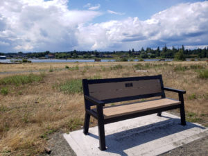 Bench on the trail